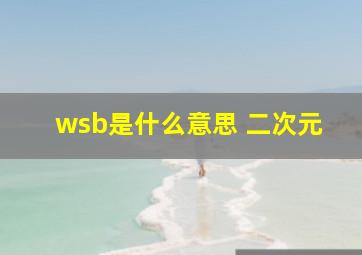 wsb是什么意思 二次元